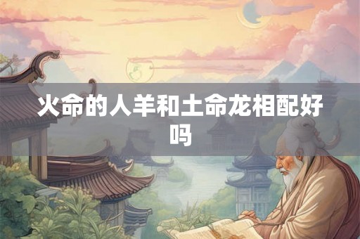 火命的人羊和土命龙相配好吗