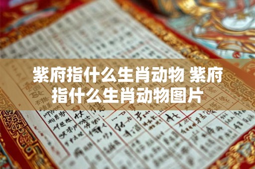 紫府指什么生肖动物 紫府指什么生肖动物图片 紫府指什么生肖动物 紫府指什么生肖动物图片