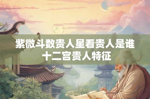 紫微斗数贵人星看贵人是谁 十二宫贵人特征