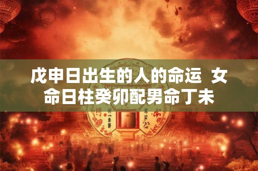 戊申日出生的人的命运 女命日柱癸卯配男命丁未 戊申日出生的人的命运 女命日柱癸卯配男命丁未