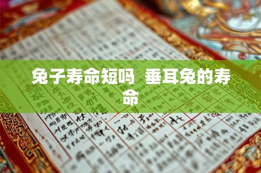 兔子寿命短吗  垂耳兔的寿命