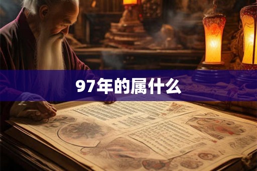 97年的属什么 97年的属什么