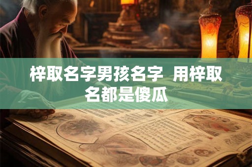 梓取名字男孩名字  用梓取名都是傻瓜