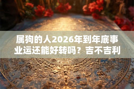 属狗的人2026年到年底事业运还能好转吗？吉不吉利？