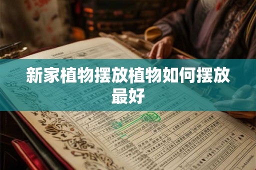 新家植物摆放植物如何摆放最好