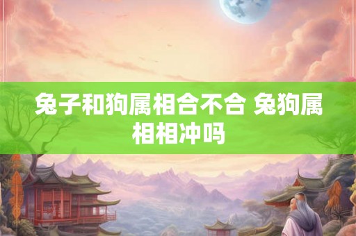 兔子和狗属相合不合 兔狗属相相冲吗