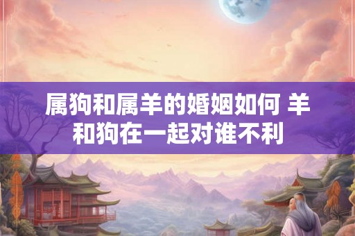 属狗和属羊的婚姻如何 羊和狗在一起对谁不利