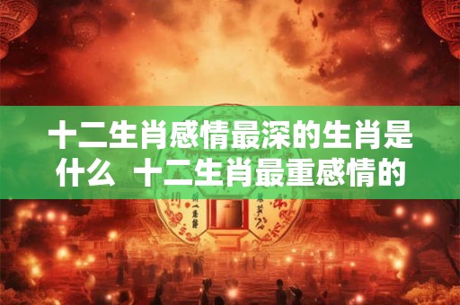 十二生肖感情最深的生肖是什么 十二生肖最重感情的生肖是什么 十二生肖感情最深的生肖是什么 十二生肖最重感情的生肖是什么