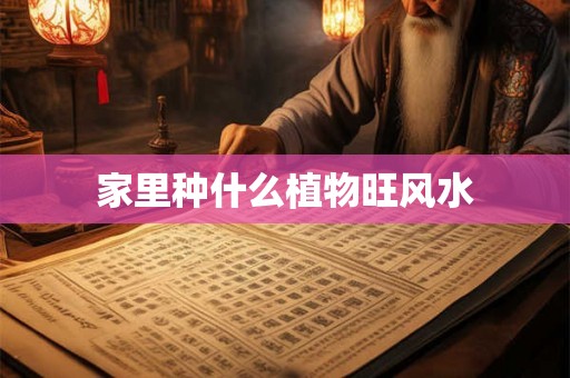 家里种什么植物旺风水