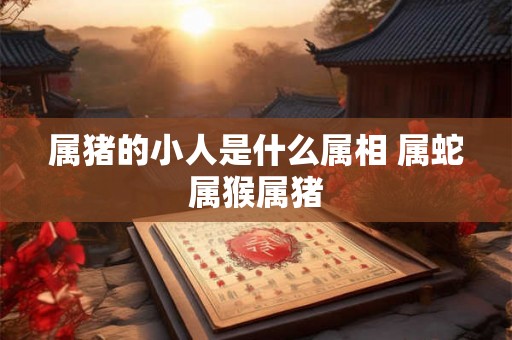 属猪的小人是什么属相 属蛇属猴属猪