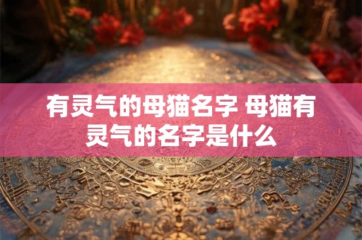 有灵气的母猫名字 母猫有灵气的名字是什么