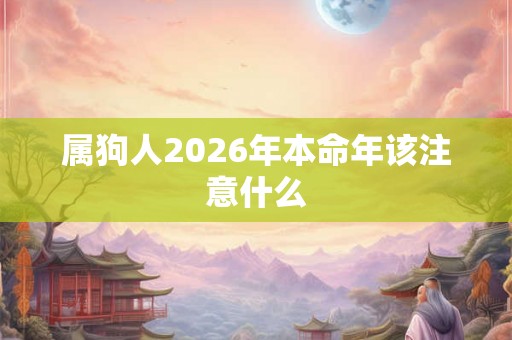属狗人2026年本命年该注意什么
