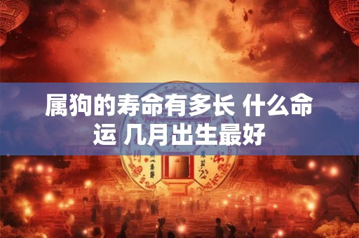 属狗的寿命有多长 什么命运 几月出生最好