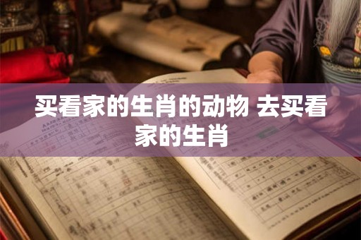 买看家的生肖的动物 去买看家的生肖 买看家的生肖的动物 去买看家的生肖