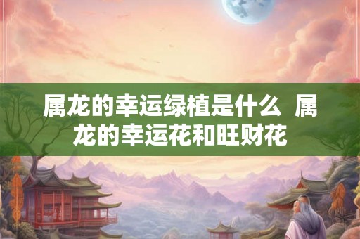 属龙的幸运绿植是什么  属龙的幸运花和旺财花