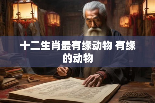 十二生肖最有缘动物 有缘的动物 十二生肖最有缘动物 有缘的动物