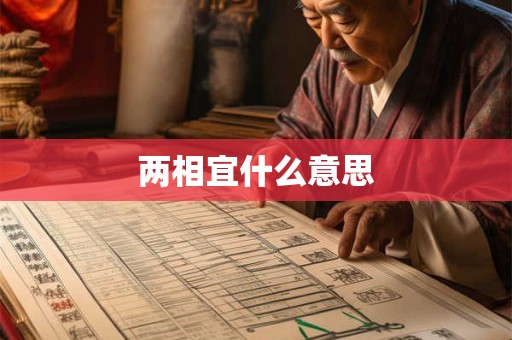 两相宜什么意思