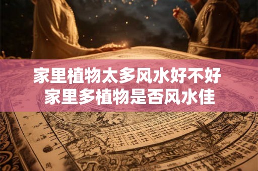 家里植物太多风水好不好 家里多植物是否风水佳