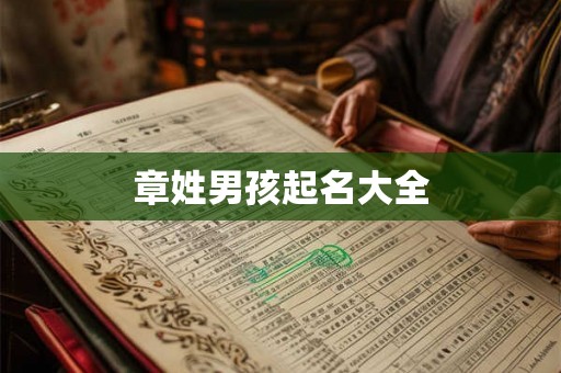 章姓男孩起名大全 章姓男孩起名大全