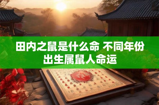 田内之鼠是什么命 不同年份出生属鼠人命运 田内之鼠是什么命 不同年份出生属鼠人命运