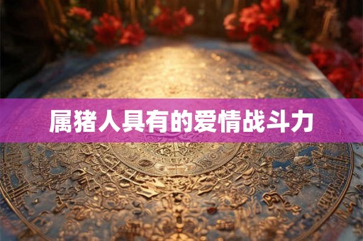 属猪人具有的爱情战斗力 属猪人具有的爱情战斗力