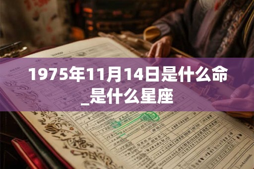 1975年11月14日是什么命_是什么星座