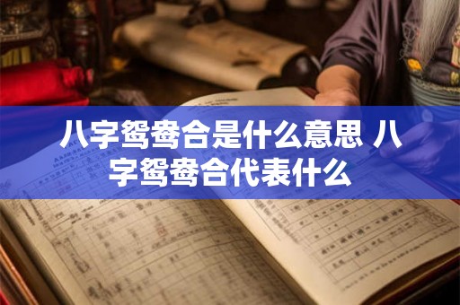 八字鸳鸯合是什么意思 八字鸳鸯合代表什么
