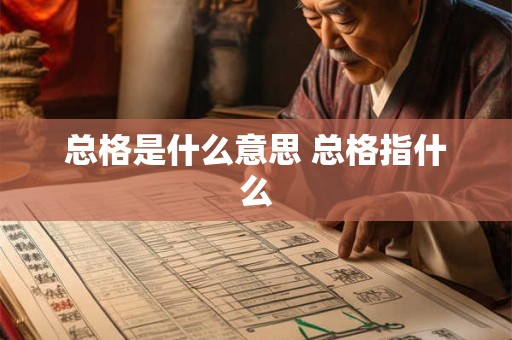 总格是什么意思 总格指什么
