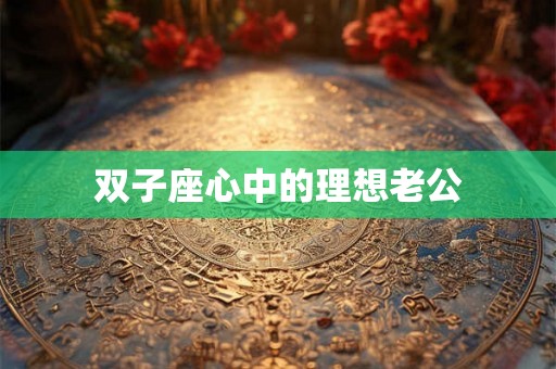 双子座心中的理想老公