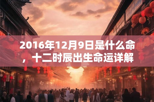 2016年12月9日是什么命,十二时辰出生命运详解 2016年12月9日是什么命,十二时辰出生命运详解