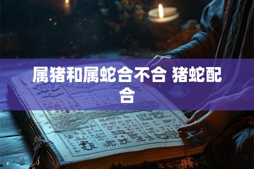 属猪和属蛇合不合 猪蛇配合 属猪和属蛇合不合 猪蛇配合