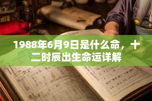 1988年6月9日是什么命，十二时辰出生命运详解