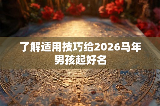 了解适用技巧给2026马年男孩起好名