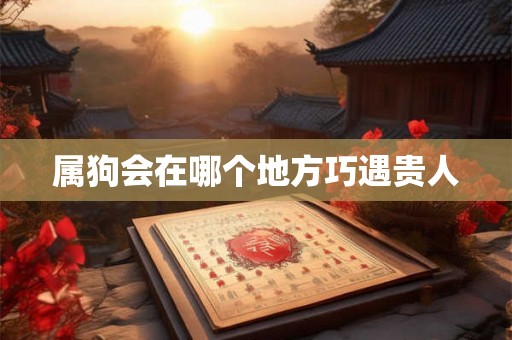 属狗会在哪个地方巧遇贵人