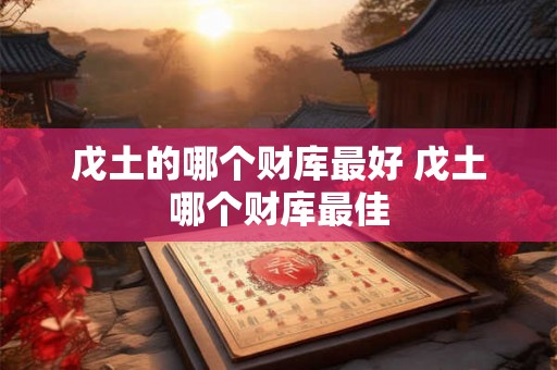 戊土的哪个财库最好 戊土哪个财库最佳