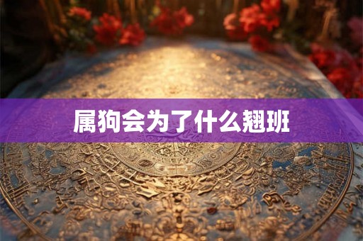 属狗会为了什么翘班