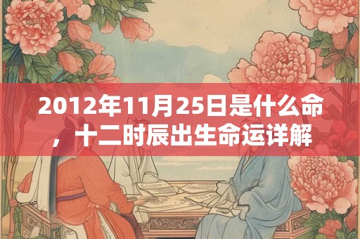 2012年11月25日是什么命，十二时辰出生命运详解