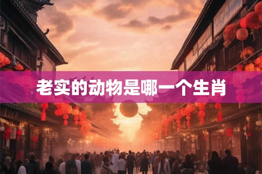 老实的动物是哪一个生肖