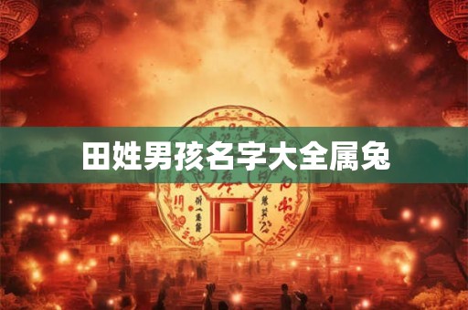 田姓男孩名字大全属兔 田姓男孩名字大全属兔