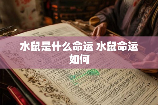 水鼠是什么命运 水鼠命运如何 水鼠是什么命运 水鼠命运如何