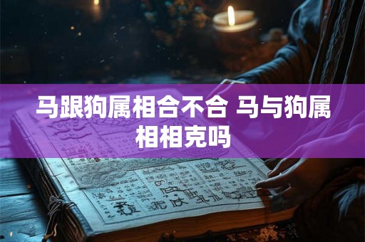 马跟狗属相合不合 马与狗属相相克吗 马跟狗属相合不合 马与狗属相相克吗