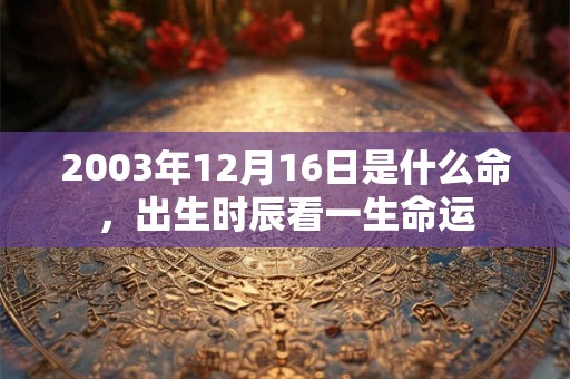 2003年12月16日是什么命，出生时辰看一生命运