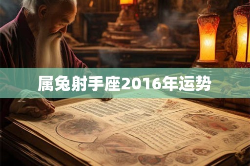 属兔射手座2016年运势
