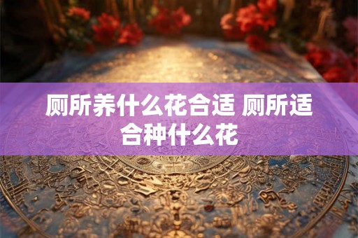 厕所养什么花合适 厕所适合种什么花