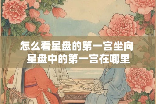 怎么看星盘的第一宫坐向 星盘中的第一宫在哪里