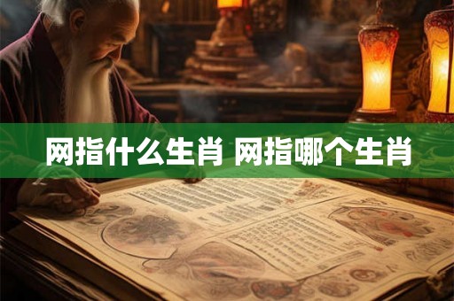 网指什么生肖 网指哪个生肖