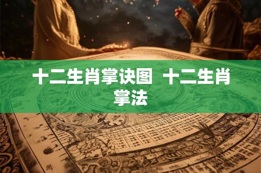 十二生肖掌诀图 十二生肖掌法 十二生肖掌诀图 十二生肖掌法