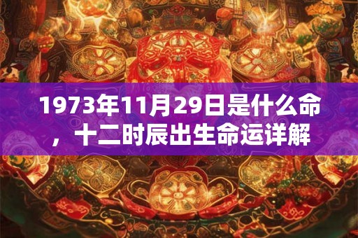 1973年11月29日是什么命，十二时辰出生命运详解