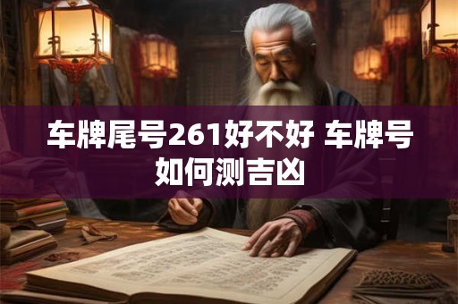 车牌尾号261好不好 车牌号如何测吉凶