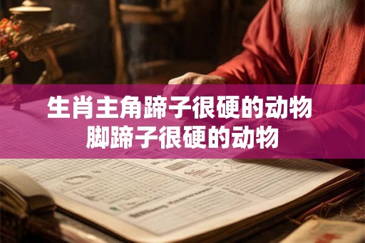 生肖主角蹄子很硬的动物 脚蹄子很硬的动物